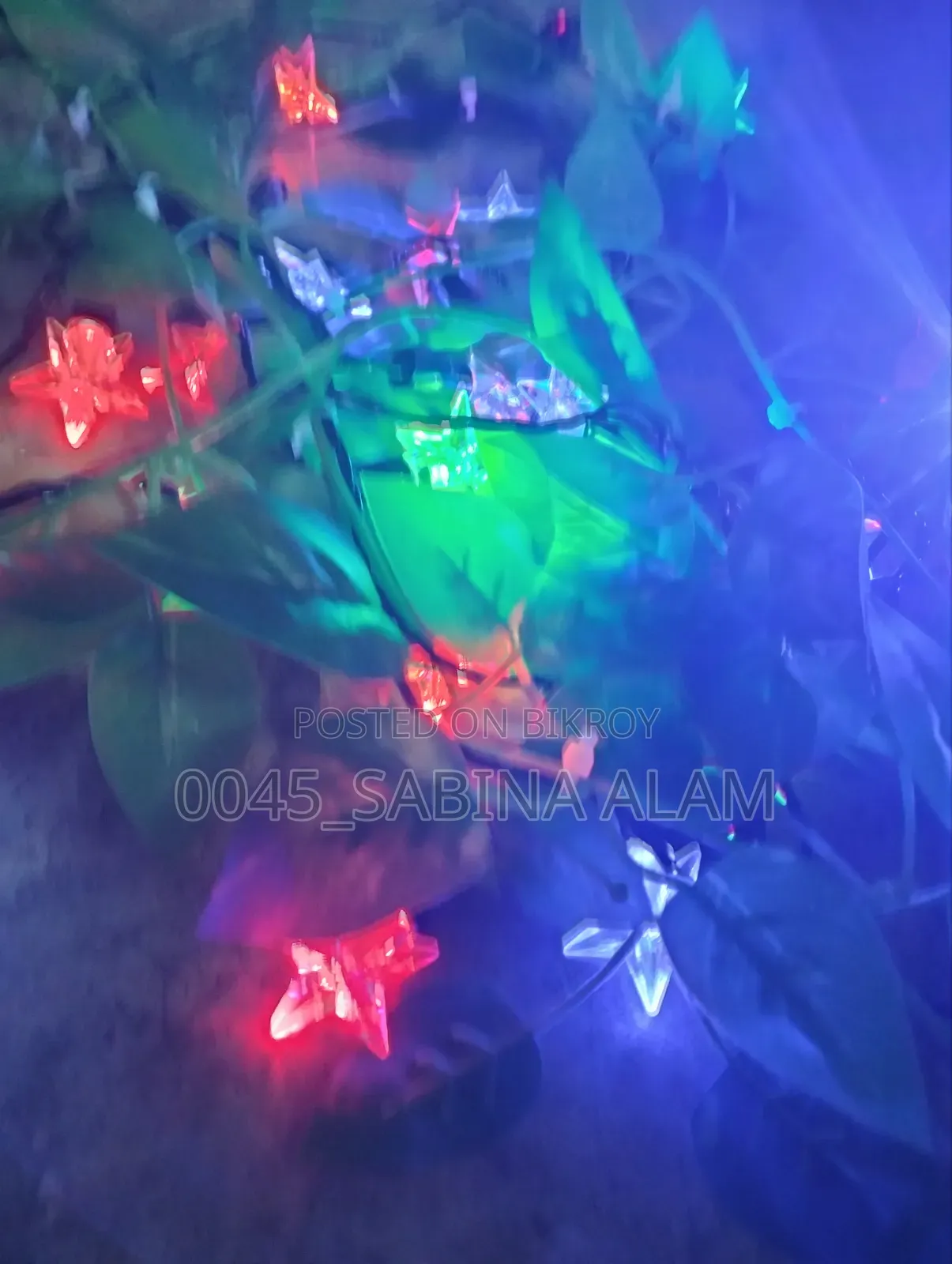 স্টার লিফ লাইট
