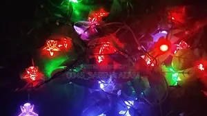 স্টার লিফ লাইট