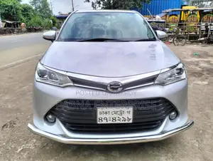Toyota Corolla Fielder 2016 Silver