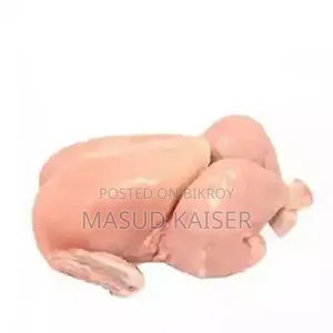 Broiler Chicken