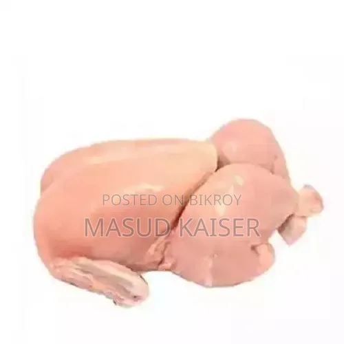 Broiler Chicken