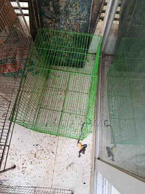 পাখির খাঁচা