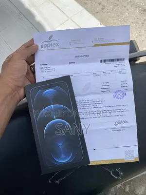 অ্যাপল আইফোন ১২ প্রো ম্যাক্স ২৫৬ জিবি নীল