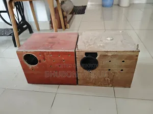 Cockatiel Bird Box