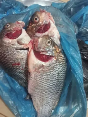 মাছ কাটার লোক