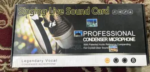 Professional Condenser Microphone