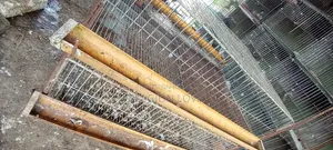 Quail bird cage