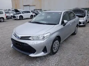 Toyota Axio 2022 Silver