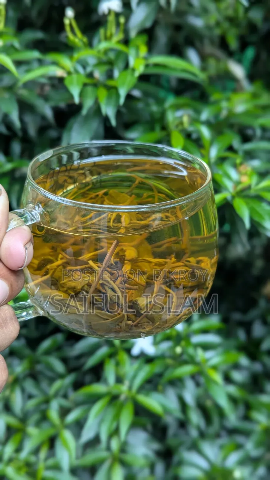 Whole Leaf Green Tea
