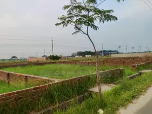 N Block 12 Katha South/North Face Plot Sell Closed 300 Feet