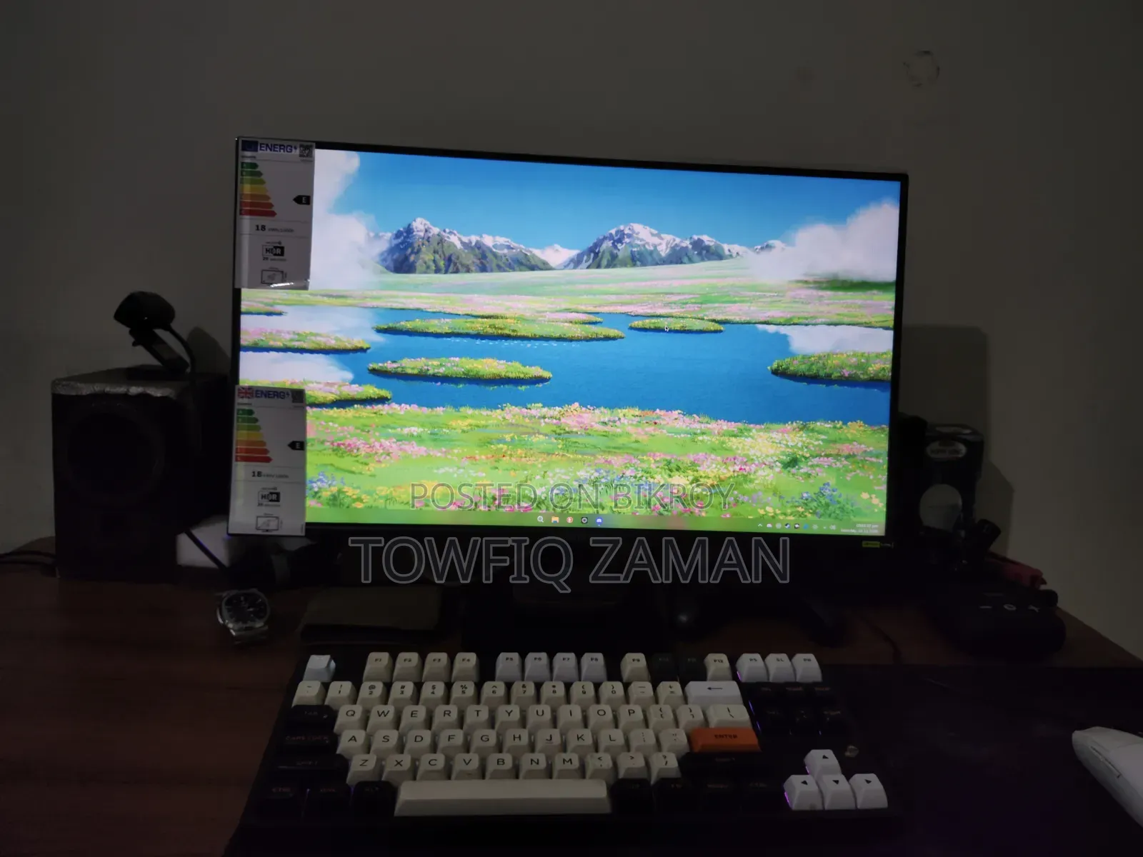 24.5 Inch Gaming Monitor (240hz)
