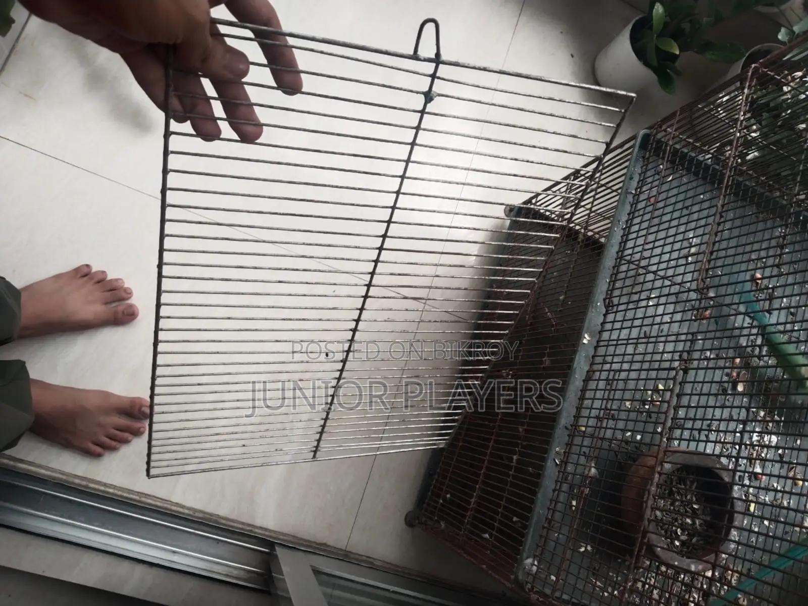 24/18 Bird Cage With Divider(bird Is Not for Sale)