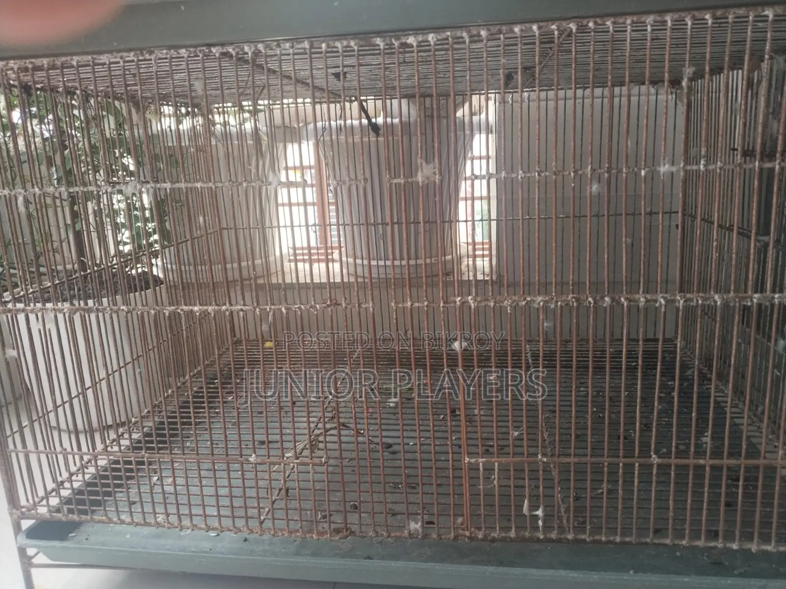 24/18 Bird Cage With Divider(bird Is Not for Sale)