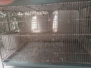 24/18 Bird Cage With Divider(bird Is Not for Sale)