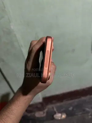 Apple iPhone 17 Pro Max 256 GB Orange