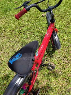 Duranta 16" With Training Wheels – Full Serviced Kids Cycle