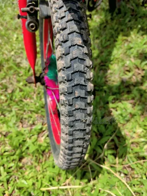 Duranta 16" With Training Wheels – Full Serviced Kids Cycle