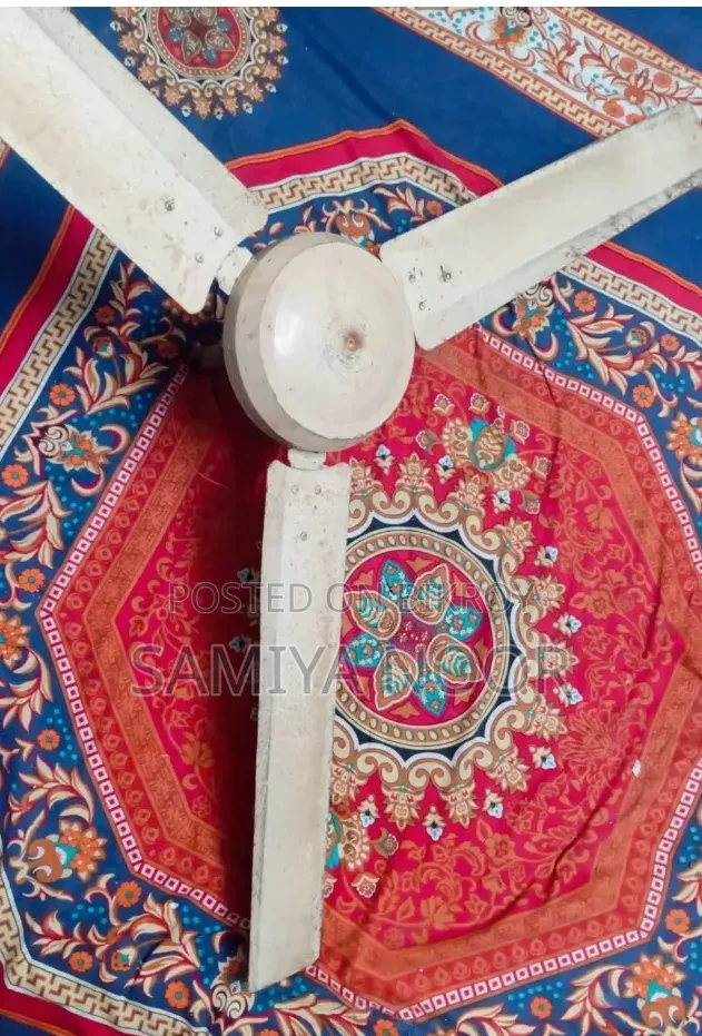 Ceiling fan has not been used for a long time