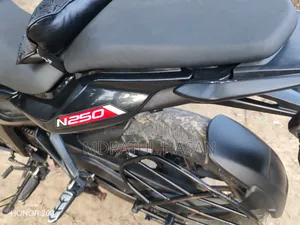 Bajaj Pulsar N250 2024 Black