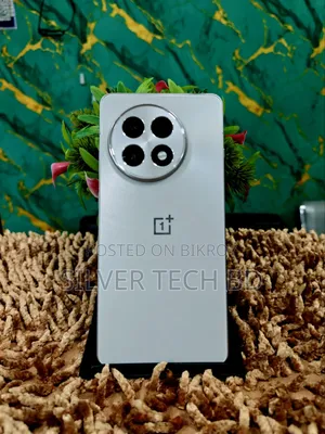 ওয়ানপ্লাস ১৩আর ৫১২ জিবি সিলভার