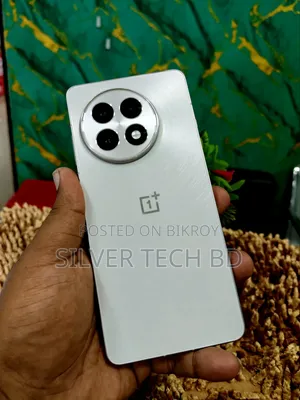 ওয়ানপ্লাস ১৩আর ৫১২ জিবি সিলভার