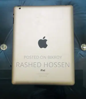 iPad 2 & 4 Display