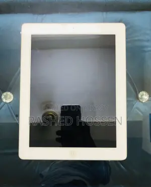 iPad 2 & 4 Display