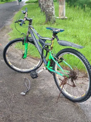 Cycle Sale