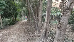 ৫ গন্ডা নিষ্কণ্টক জমি।