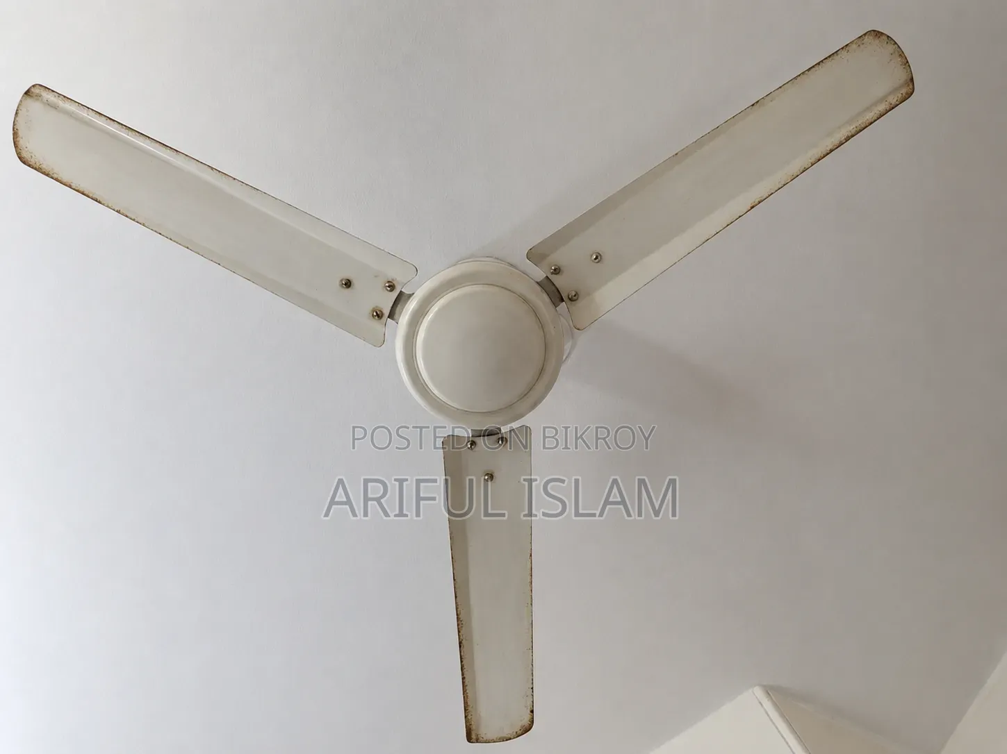 Ceiling Fan (SIZUKA) - 56 INCH