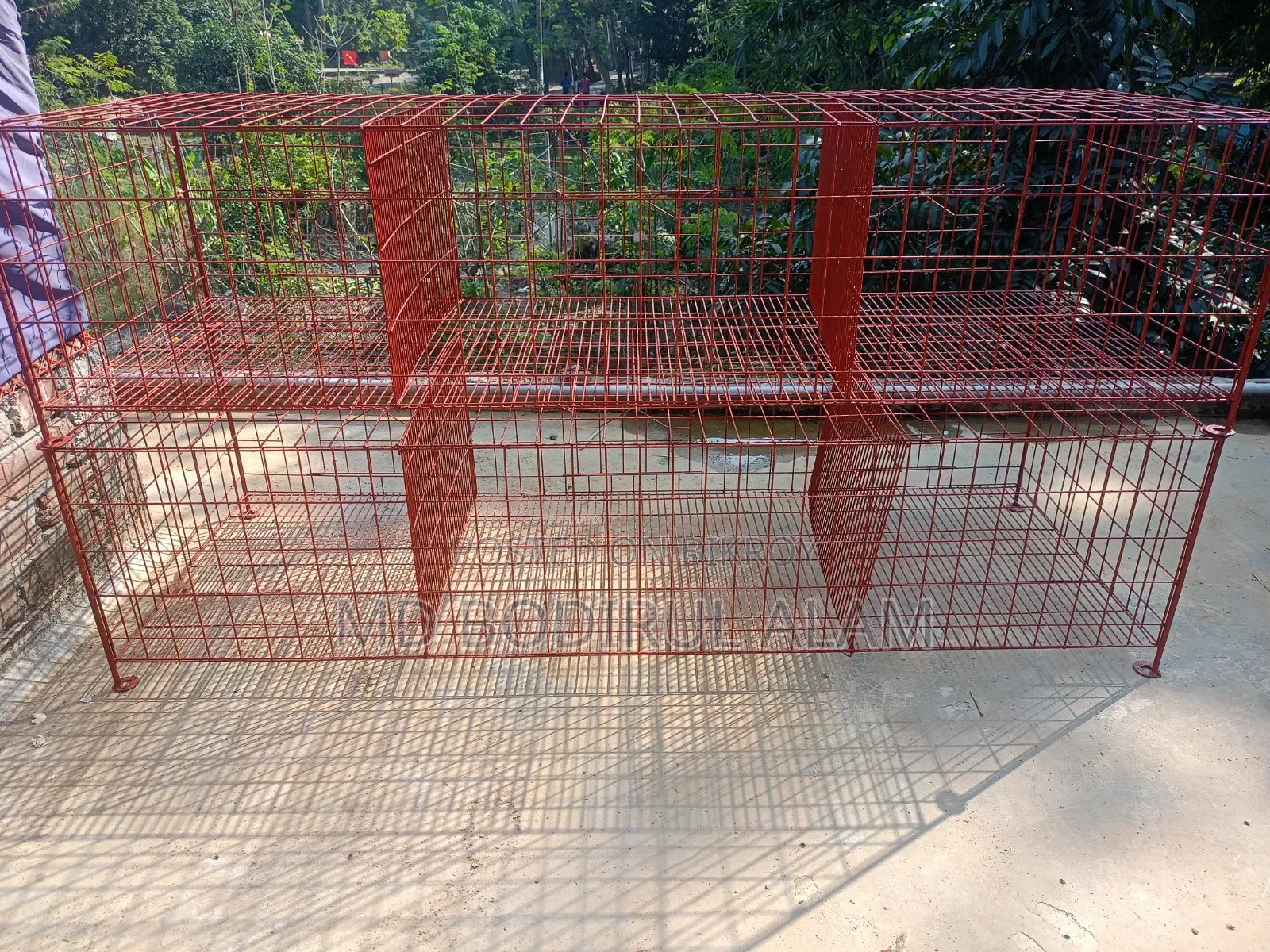 কবুতর হাস মুরগি পালার জন্য খাঁচা।
