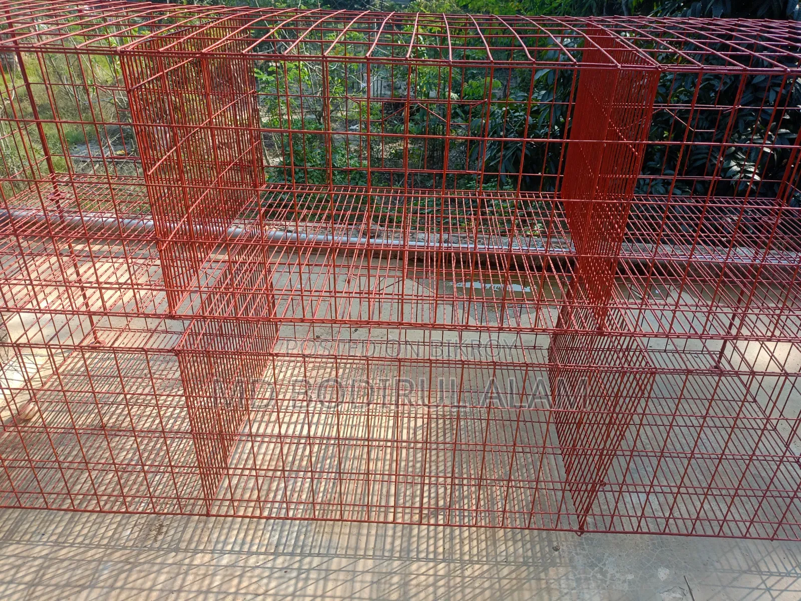 কবুতর হাস মুরগি পালার জন্য খাঁচা।