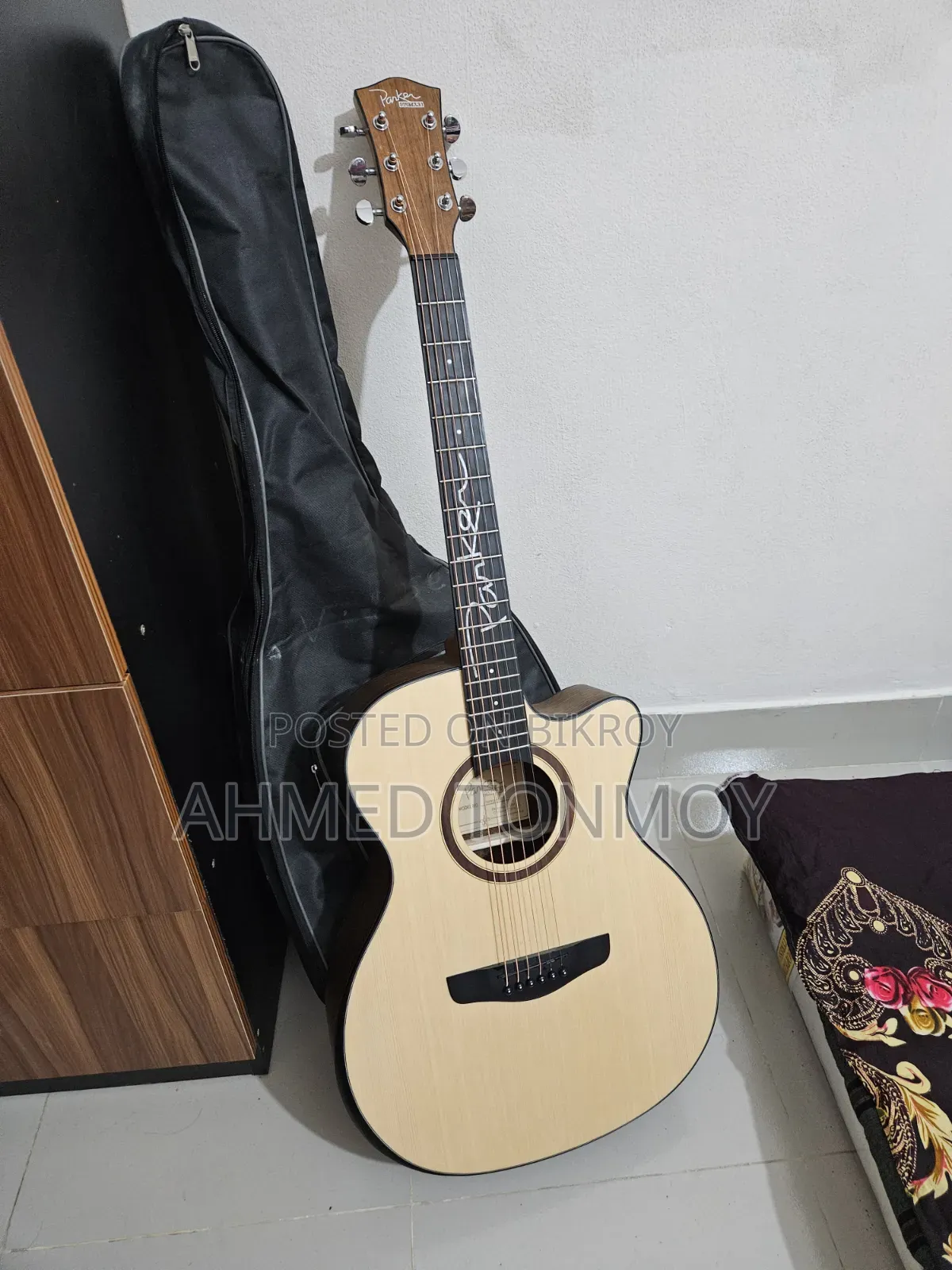 Parker 570 Acoustic Guitar