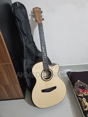 Parker 570 Acoustic Guitar