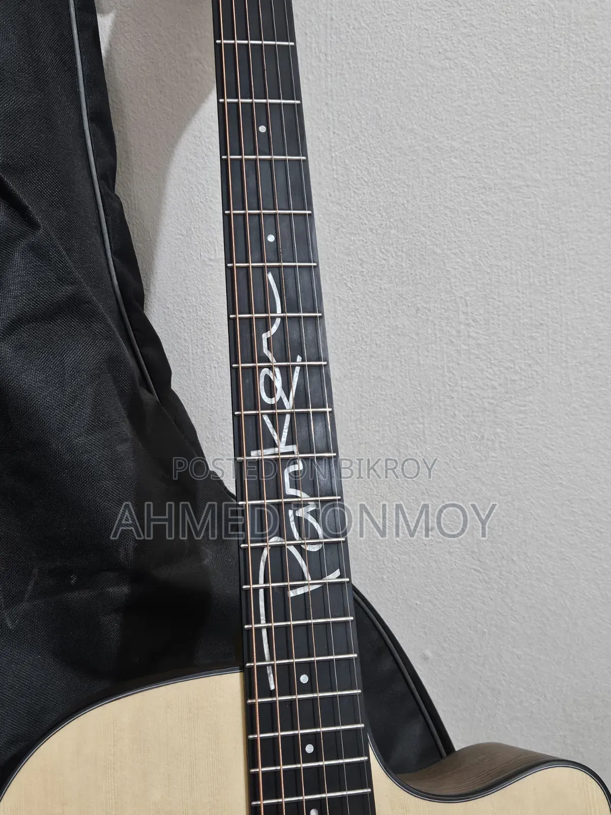 Parker 570 Acoustic Guitar