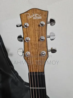 Parker 570 Acoustic Guitar
