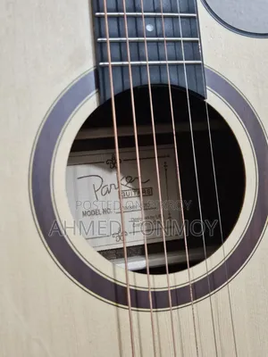 Parker 570 Acoustic Guitar