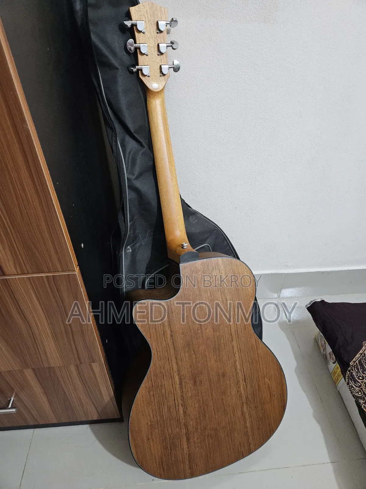 Parker 570 Acoustic Guitar