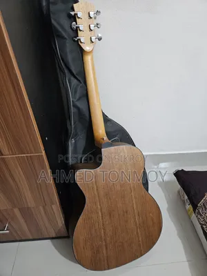 Parker 570 Acoustic Guitar