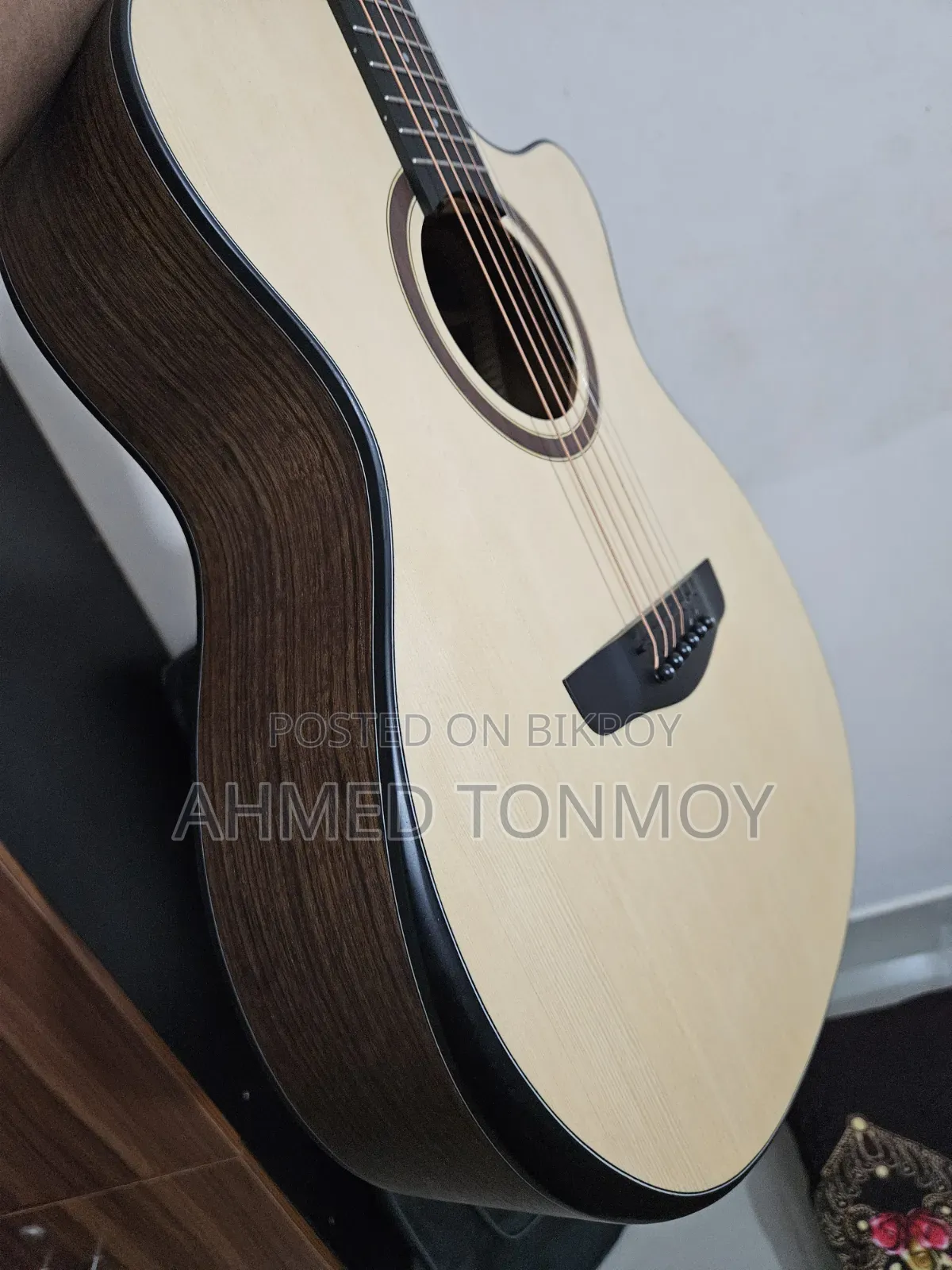 Parker 570 Acoustic Guitar