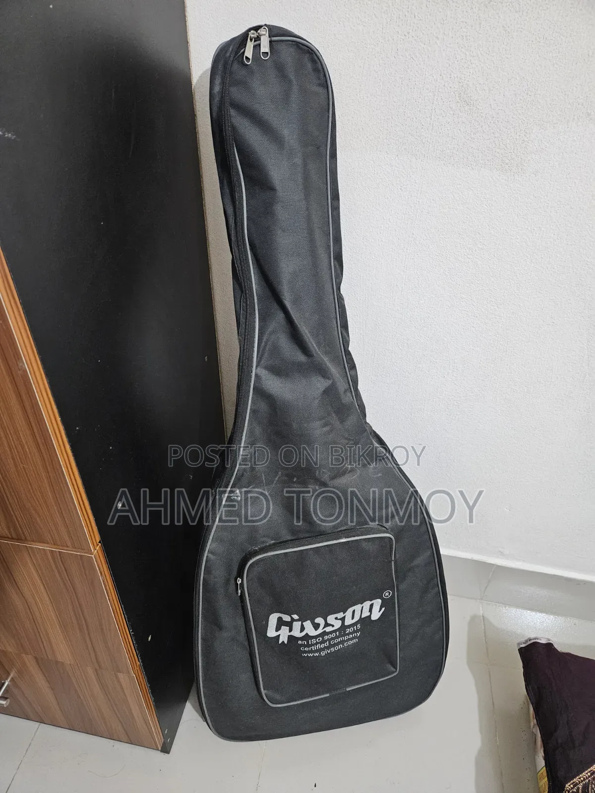 Parker 570 Acoustic Guitar