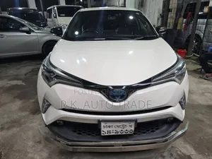 Toyota C-HR 2019 Pearl
