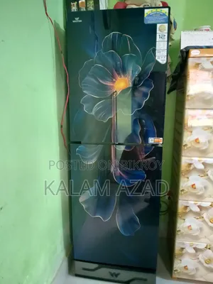 তিন মাস বয়স ফ্রিজের।
