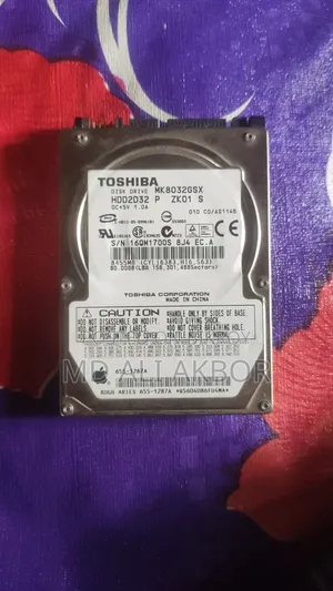 80GB Apple HDD
