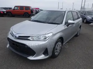 Toyota Corolla Fielder 2021 Silver