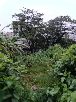 ব্লক-এম, দক্ষিণমুখী ২য় কর্নার প্লট