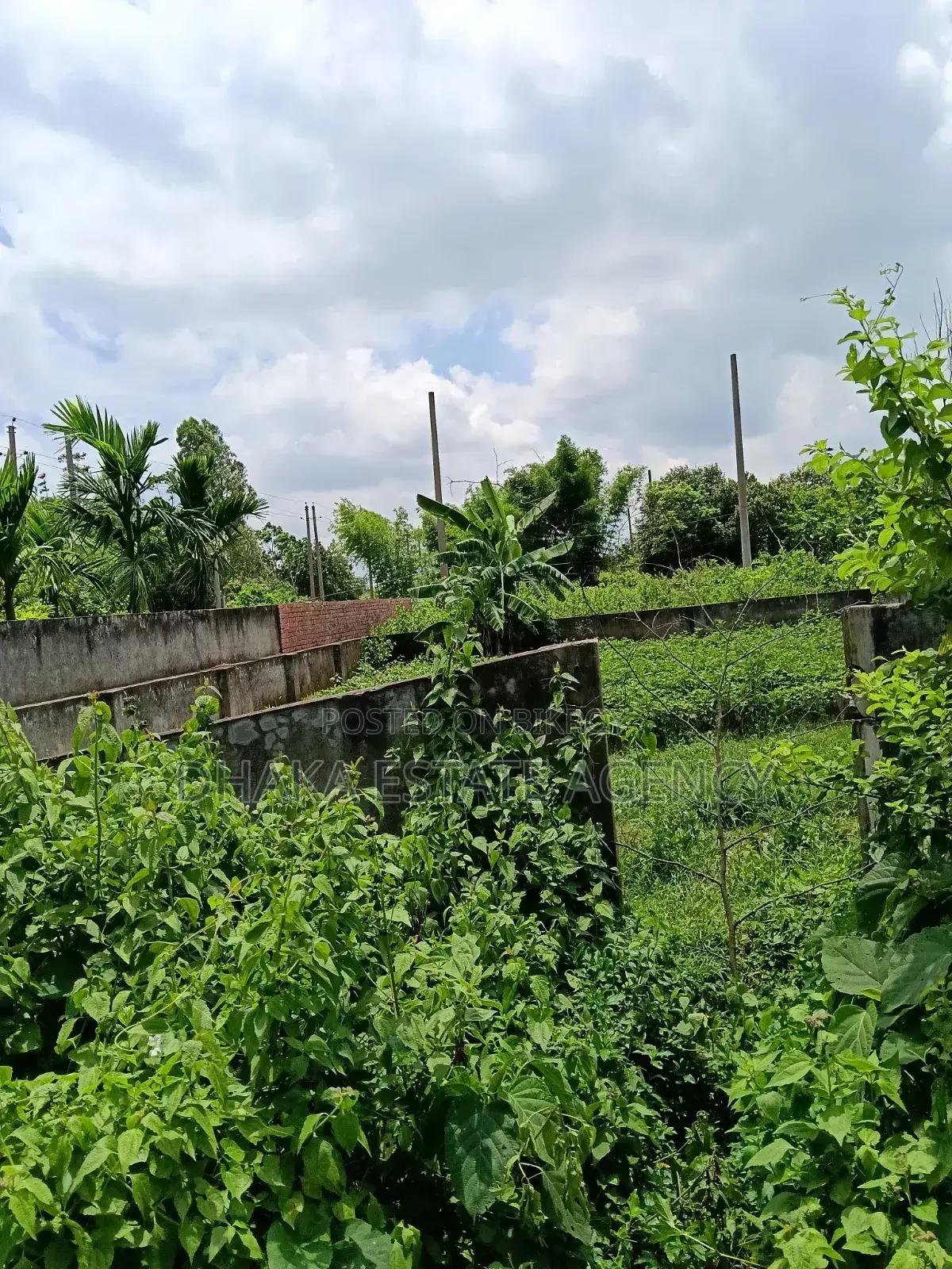 Block-N, South Face 10+10+10=30 Katha Plot Sale