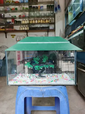 Complete Aquarium Package for Only 1200 BDT