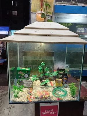 W-12/ L-18/ H-16 Large Aquarium. This includes a complete package