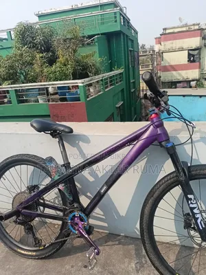 Stunt Cycle